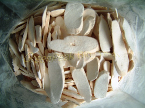 Tỳ giải